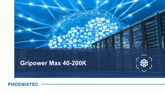 Обложка: Gripower Max